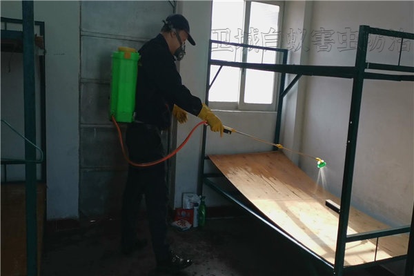 惠陽除蟲滅鼠滅臭蟲-惠州倉庫滅跳蚤防治消殺中心(馬安 橋東 汝湖 三棟 水口 小金口滅白蟻)